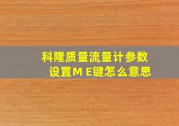 科隆质量流量计参数设置M E键怎么意思